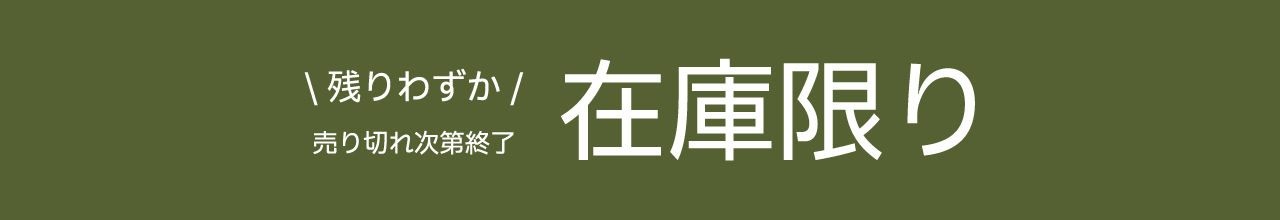 フィスラータイムセール