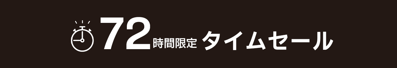 フィスラータイムセール