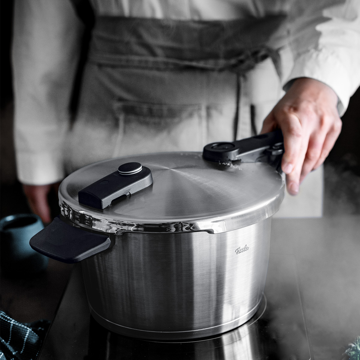 Fissler stainless steel pressure cooker sales